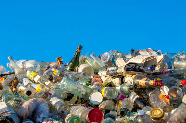 glass bottles in a recycling plant waiting to be recycled